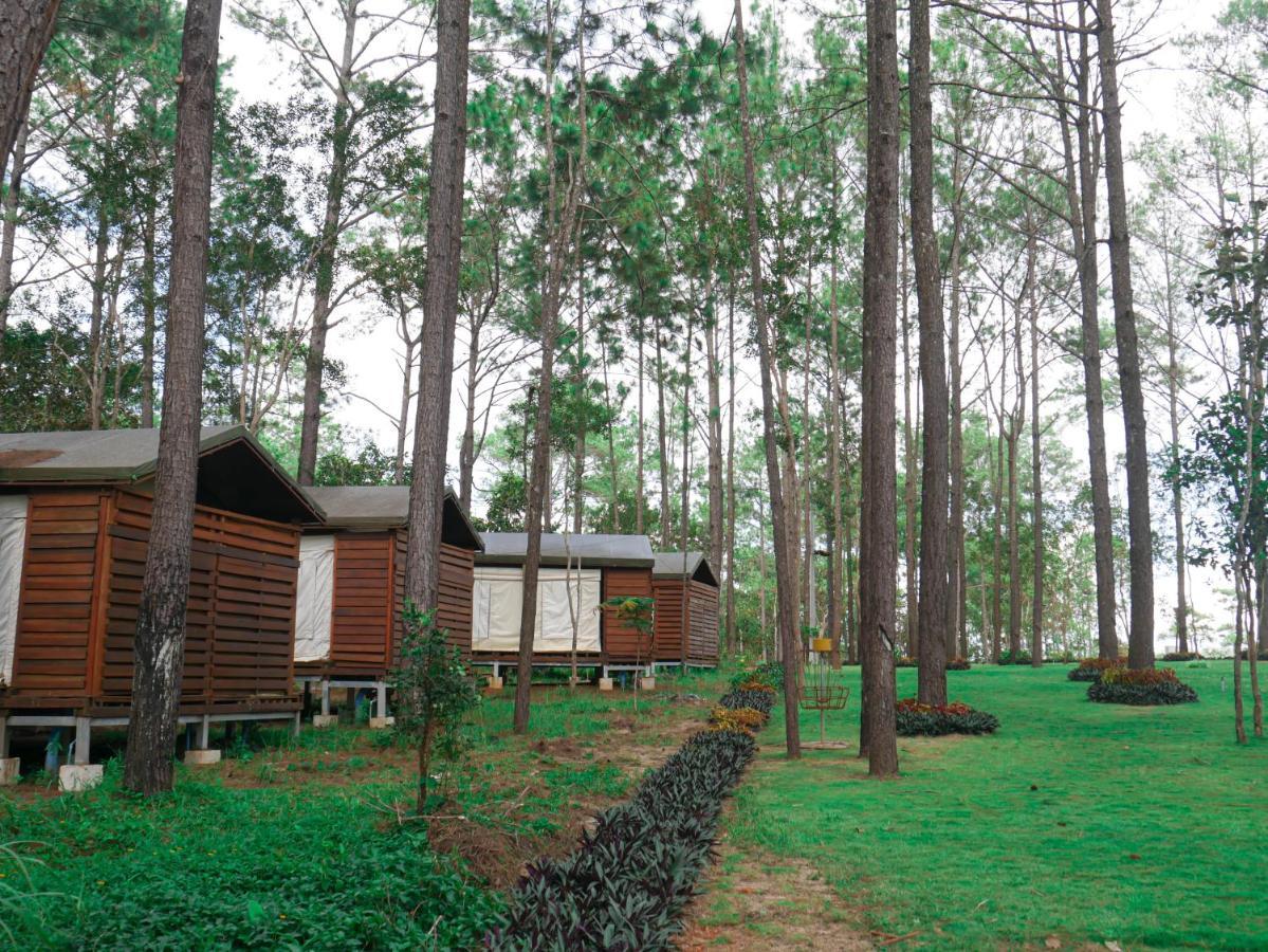 Vkirirom Pine Resort Chambak Dangkom Bagian luar foto